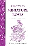 Growing Miniature Roses: Storey's Country Wisdom Bulletin A-116 (Storey/Garden Way Publishing Bulletin) by Mardi Berkhouse Jones