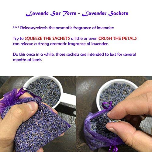 3 Dvine+Dev+Purple+Lavender+Sachets