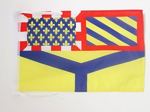 AZ FLAG, French Department of Yonne Flag, 18'' x 12'', 100% Polyester France Small Banner with Two Cords, Fade Resistant