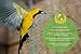 Vanitek 6-1/2 x 33 ft. Green Gentle Garden Netting/Row Cover/Screen | Protect Secure to Keep away Birds and Rodents from Fruit, Vegetable, Flowers and sensitive Plants, while allowing water and air in