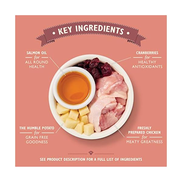 Lilys-Kitchen-Chicken-Casserole-Complete-Adult-Dry-Cat-Food-2-kg Lily's Kitchen Chicken Casserole Complete Adult Dry Cat Food (2 kg) (Packaging may vary)