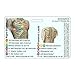 12 Lead EKG Placement Horizontal Badge Reference Card (1 Card)