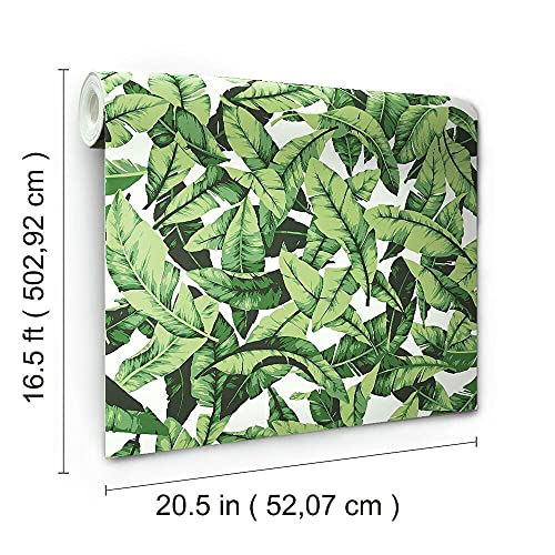 RoomMates RMK11045WP Tropical Palm Leaf Green Peel and Stick Wallpaper