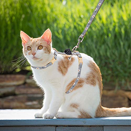 Cat Harness and Leash for Walking with Flower Patten - Thumbnail 4