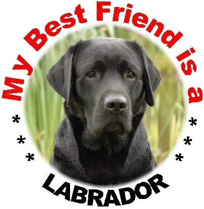 2 Black Labrador Car Stickers My Best Friend design No. 3