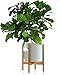 Fox & Fern Bamboo Plant Stand — 11.8 Inch Fixed Size Wooden Mid Century Planter Stand for Indoor Planters (Not Included); Raised Large Flower Pot Holder for Indoor Big Pots; Plug In Design - Bamboo
