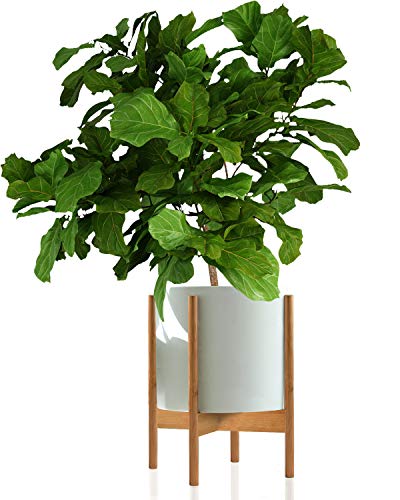 Fox & Fern Wide Modern Plant Stand – Bamboo – EXCLUDING 15″ White Ceramic Planter Pot