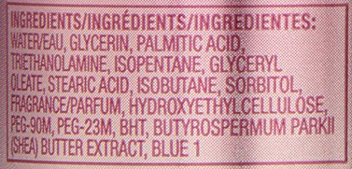 GILLETTE SATIN CARE DRY SKIN SHAVING GEL, 7 OZ