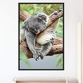 signwin Framed Canvas Wall Art Koala Bear Animals...