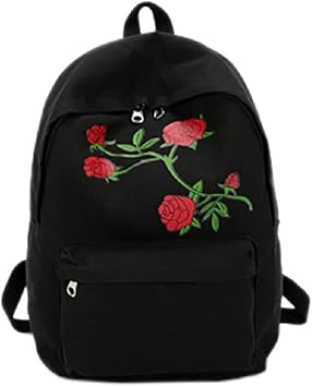 aesthetic backpacks amazon
