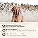 Wellness CORE Dry Dog Food, Grain-Free, High Protein, Natural, Healthy Weight Turkey & Chicken Recipe, (4-Pound Bag)
