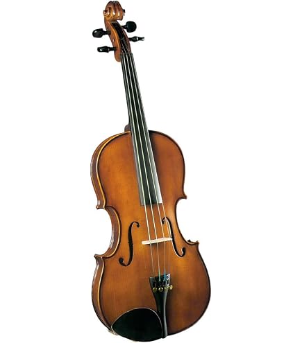 Amazon.com: Cremona SVA-500 Premier Artist Viola Outfit – 16 inch