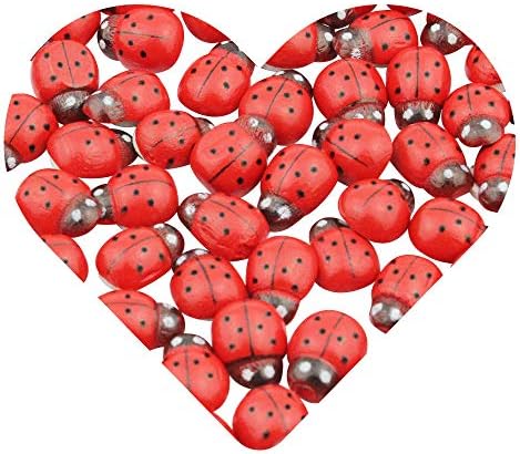 DEKOWEAR Ladybirds with Glue Point 100 Pieces for Decorating from Wood, Red or Colored, 11 mm as Luck Beetle - Handmade Lucky Charm Ladybug (Red)