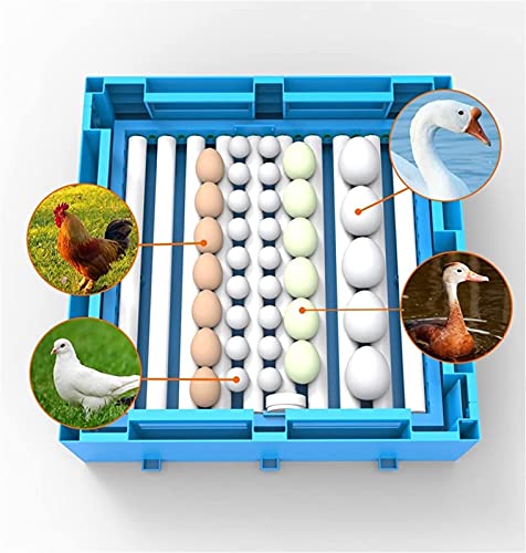 FHISD Eierinkubator und Hatcher, 256 Digitale Eier Inkubator Temperaturregelung Hatcher Automatische Hochleistungs… – Bild 4