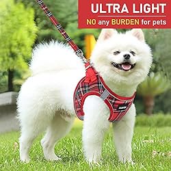 GAMUDA Small Pet Harness Collar and Leash Set, Step