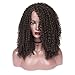 HANNE L Part Lace Front Wig Afro Kinky Curly Wigs Side Part Lace Wig for African American Women (Dark Brown)