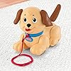 Fisher-Price-Lil-Snoopy-Pull-Along-Dog Fisher-Price Lil' Snoopy, pull-along toy dog for walking infants and toddlers ages 12 months and older