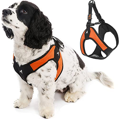 Gooby Peitoral Escape Free Easy Fit – Laranja, Pequeno – Peitoral patenteado sem puxar com fivela de liberação rápida para cães pequenos a médios