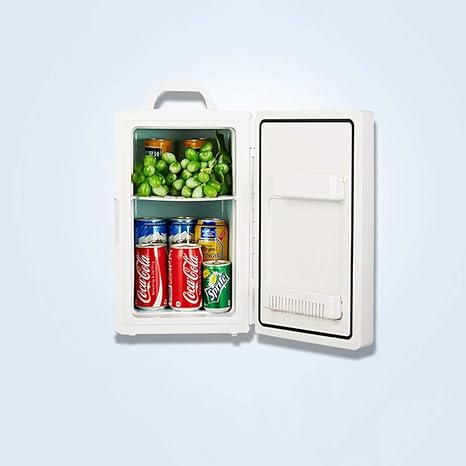 Mini nevera Para Coche Caja De Hielo Portátil para Coches Caja De ...