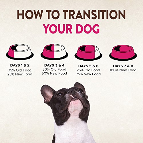 Wellness Core Small Breed Dog Food - Image 9