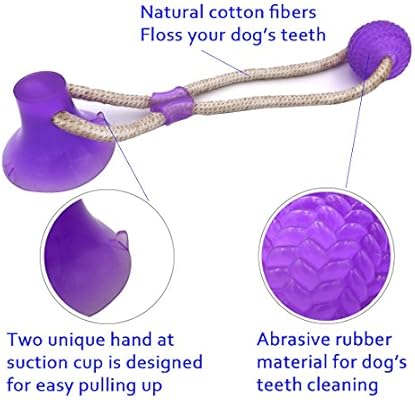 chow chow dog temperament