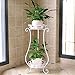 Metal Tall Plant Stand Indoor/Outdoor,Iron Flower Pot Holder Small Plant Holders,Flower Pot Stand Flower Pot Supporting,Potted Plant Stand Plant Rack Planter Stand,for Home,Garden,Patio(White,31.5in)thumb 2