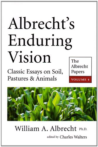 Albrecht's Enduring Vision (The Albrecht Papers)