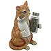 Orange Tabby Kitty Cat Glass Salt & Pepper Shaker Set with Holder Figurine in Decorative Pet Statues and Sculptures As Kitten Kitchen Table Decoration Gifts for Cat Owners by Home-n-Gifts