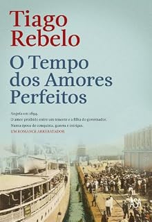 Livro O Tempo dos Amores Perfeitos