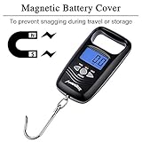 MadBite Digital Fish Scale - LCD Screen, Digital Thermometer, 110lb/50kg Capacity Fishing Scale with Hanging Hook