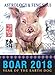 Fortune & Feng Shui 2018 BOAR