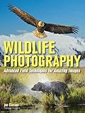 Wildlife Photography: Advanced Field Techniques for Tracking Elusive Animals and Capturing Magical M