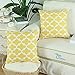 CaliTime Pack of 2 Soft Canvas Throw Pillow Covers Cases for Couch Sofa Home Decor Modern Quatrefoil Accent Geometric 18 X 18 Inches Bright Yellow