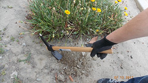 Garden Pick Mattock, Drop Forged, Heavy Duty Quality