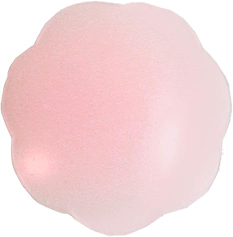 Braza Silicone Petal Tops - Reusable Nipple Covers - Lt. Pink at Amazon Women’s Clothing store