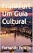 Livro Frankfurt Um Guia Cultural