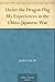 Under the Dragon Flag My Experiences in the Chino-Japanese War by 
