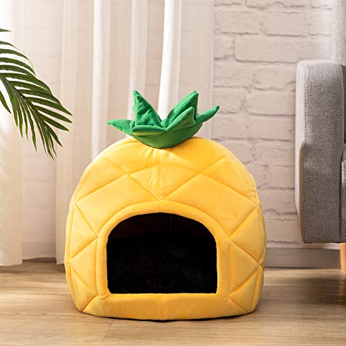 pineapple bed for dogs