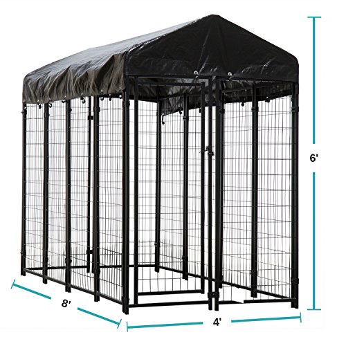 Make a dog run in your backyard