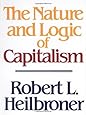 The Nature And Logic Of Capitalism 9780393955293
