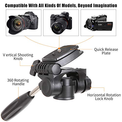 Zomei Q100 Mini Travel Tabletop Tripod Tabletop Tripod with 3-Way Pan/Tilt Head 1/4 inches Quick Release Plate and Bag for DSLR Camera Tripod Carrying Bag (Black)