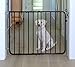 Cardinal Gates MG15 Auto-Lock Baby Gate for Stairs- Adjustable Indoor Dog Gate - Made of Aluminum to Ensure Kids & Pets Safety - 26.5 to 40.5 Inches Wide - Black - USA Based Company