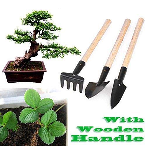 Eshylala 5 PCS 24 Cells Seedling Starter Pots Seeds Grow Box Case with Humidity Dome and Base & 3 Pcs Mini Garden Tools Cultivating and Weeding Flowers and Vegetable Seedlings