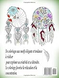Image de Attrape-reves 3 - coloriages pour adultes: Coloriage anti-stress (Volume 3) (French Edition)