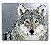 Brian114 Custom Predator Wolf Snow Anti Slip Comfort Gaming Mouse Pad - Durable Office Accessory Gift