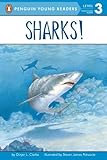 Sharks! (All Aboard Reading)