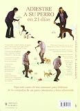 Image de Adiestre a su perro en 21 dias (Adiestramiento perros) (Spanish Edition)