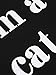 Choies Women's Black Letter Print Pocket Detail Cat Ear Hoodie