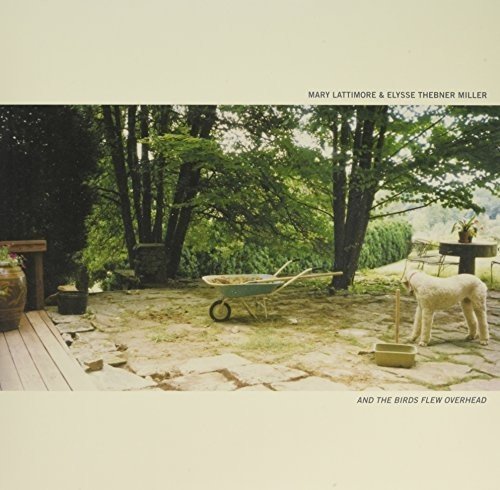 Mary Lattimore Elysse Thebner Miller And The Birds Flew Overhead Amazon Com Music