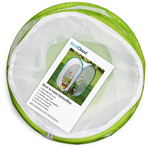 1 RESTCLOUD+Butterfly+Habitat+Collapsible+Terrarium